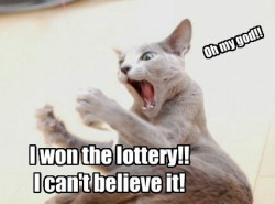 Weird lottery prizes